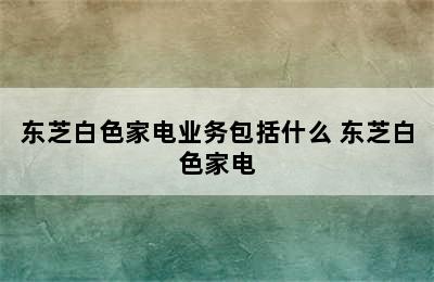 东芝白色家电业务包括什么 东芝白色家电